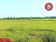 ขาย ที่ดิน ตำบลหนองหลุม อำเภอวชิรบารมี จังหวัดพิจิตร