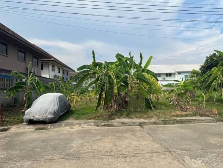 ขายที่ดิน ตรว.ละ 33,000 บาท เนื้อที่ 157.5 ตรว. #หนองควาย #หางดง, ภาพที่ 4