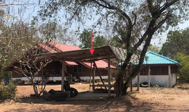 ขายบ้านเดี่ยว    อำเภอตะพานหิน พิจิตร (PKK02-14942), ภาพที่ 4