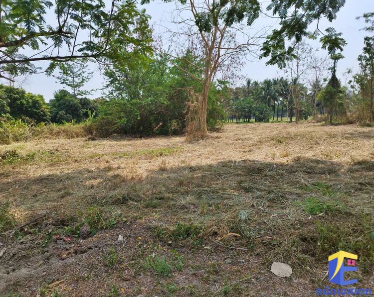 ขาย ที่ดิน ตำบลแม่สา อำเภอแม่ริม จังหวัดเชียงใหม่, ภาพที่ 4