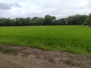 ขาย ที่ดิน ตำบลราษฎร์นิยม อำเภอไทรน้อย จังหวัดนนทบุรี