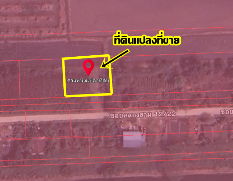 ขายที่ดิน200ตารางวา ซอยคลองสาม12/22 อำเภอคลองหลวง จังหวัดปทุมธานี , ภาพที่ 4