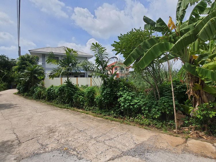 ขายที่ดิน ถ.พุทธมณฑลสาย 2 ย่านภาษีเจริญ พื้นที่ 79.7 ตรว. ที่ดินแปลงมุม, ภาพที่ 4