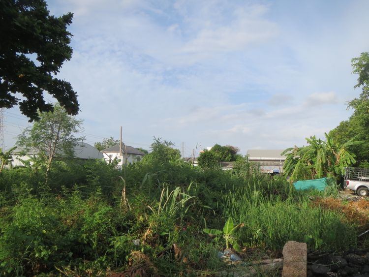 ขายที่ดิน 99 ตรว. ที่หัวมุมซอยสวัสดิการ 1 แขวงหนองค้างพลู เขตหนองแขม, ภาพที่ 4