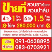ขายที่สวน 4ไร่ ราคาไร่ละ250,000บาท 