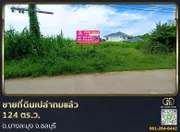 ขายที่ดินเปล่าถมแล้ว 124 ตร.ว. ที่สวย ทำเลทอง อ.บางละมุง จ.ชลบุรี