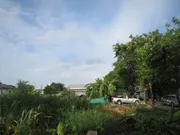 ขายที่ดิน 99 ตรว. ที่หัวมุมซอยสวัสดิการ 1 แขวงหนองค้างพลู เขตหนองแขม กรุงเทพมหานคร