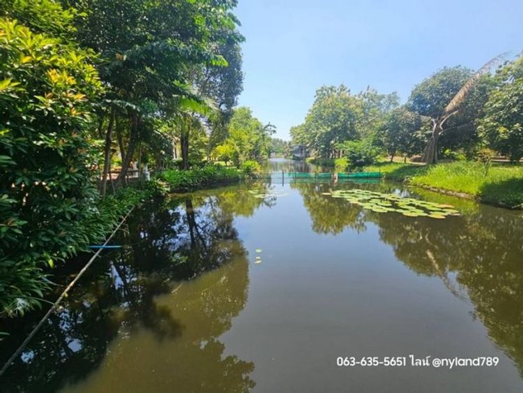 ขายบ้านสวนร่มรื่น ในโครงการชลพฤกษ์รีสอร์ท ต.บ้านพร้าว อ.บ้านนา 79 กม., ภาพที่ 4