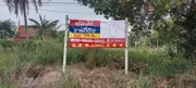 ที่ดิน ถมแล้ว ศรีราชา 500 ตรว. ติดอ่างเก็บน้ำหนองค้อ 20 นาที ถึง ศรีราชา