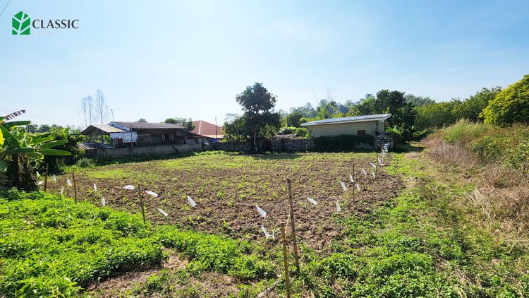 ขาย ที่ดิน ตำบลท่าสุด อำเภอเมืองเชียงราย จังหวัดเชียงราย, ภาพที่ 4
