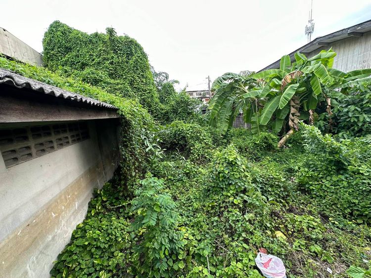 ถูกที่สุดในย่านนี้!! ขายที่ดิน 57 ตร.ว. จรัญสนิทวงศ์ซอย 75 ทำเลทอง , ภาพที่ 4