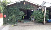 ขายบ้านเดี่ยว     อำเภอเมืองแพร่  แพร่ (PKK02-13869)
