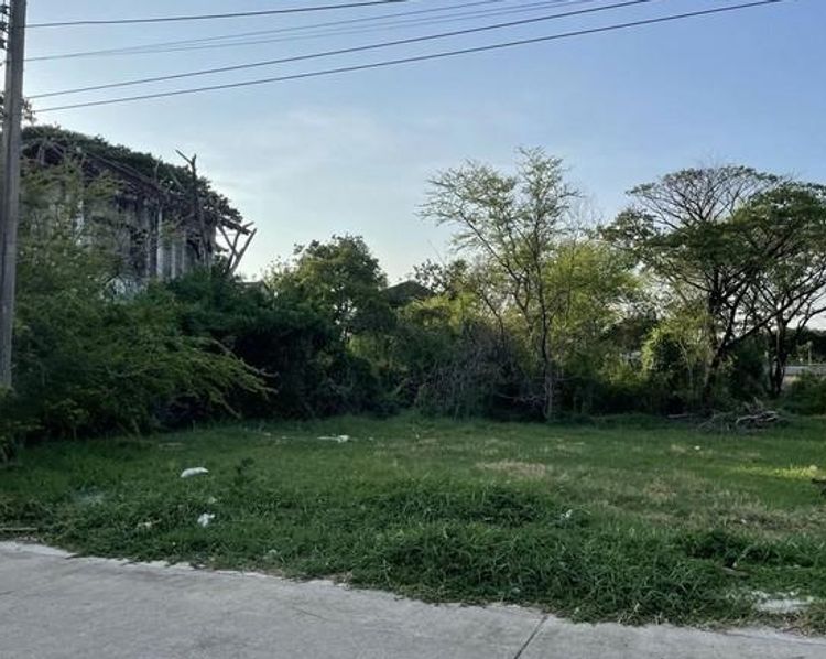 ขายที่ดิน พัฒนาการ ซอย 69 เนื้อที่ 150 ตรว.อยู่ในหมู่บ้านเมืองทอง 2 4, ภาพที่ 4