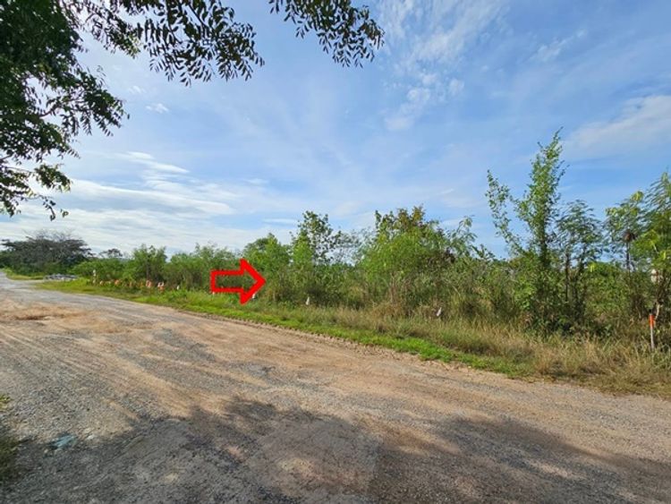 ขาย ที่ดิน ตำบลหนองสาหร่าย อำเภอปากช่อง จังหวัดนครราชสีมา, ภาพที่ 4