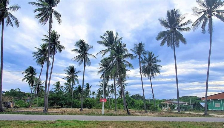 ขายที่ดินติดทะเล 4 ไร่ หาดสำเร็จ ท่าชนะ สุราษฎร์ธานี, ภาพที่ 4