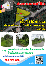 ขายที่ดิน ม.5 ตำบลปันแต อำเภอควนขนุน จังหวัดพัทลุง