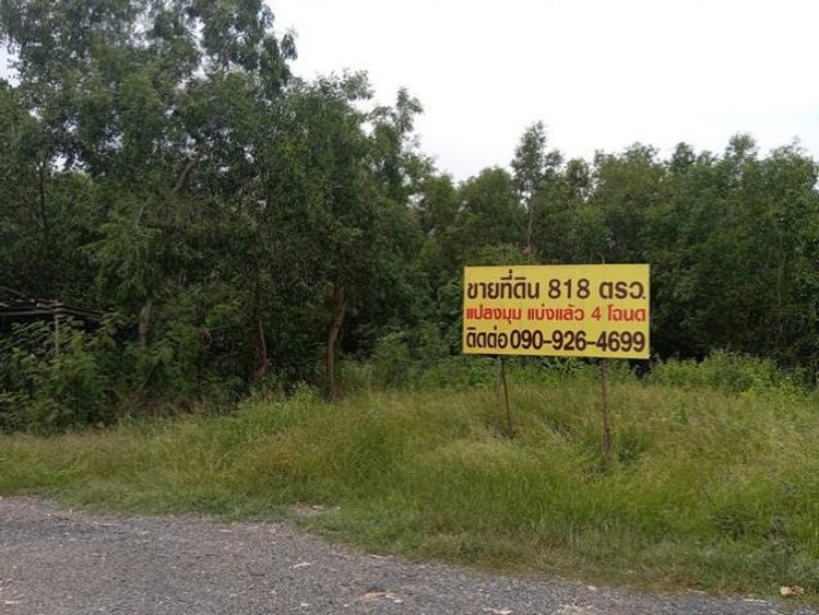 ขายที่ดิน ซอยเอราวัณ 818 ตรว.คลองหลวง ปทุมธานี 10,000 บาท/ตรว., ภาพที่ 4