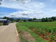 ขายที่เขาใหญ่ หมูสี 2 ไร่ ติดลาดยาง ที่สวย ลมดี วิวเขาใหญ่สวย ใกล้ธนะรัชต์ ใกล้เซว่นคลองดินดำ สระน้ำใส ปากช่อง ใกล้ทอสคาน่า เหมาะสร้างบ้านสวน ขายถูก 087-9074045