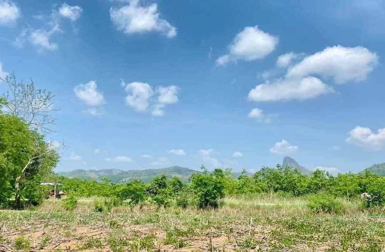 ขาย ที่ดิน ตำบลเมือง อำเภอเมืองเลย จังหวัดเลย, ภาพที่ 4