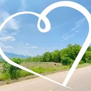 ขาย ที่ดิน ตำบลเมือง อำเภอเมืองเลย จังหวัดเลย
