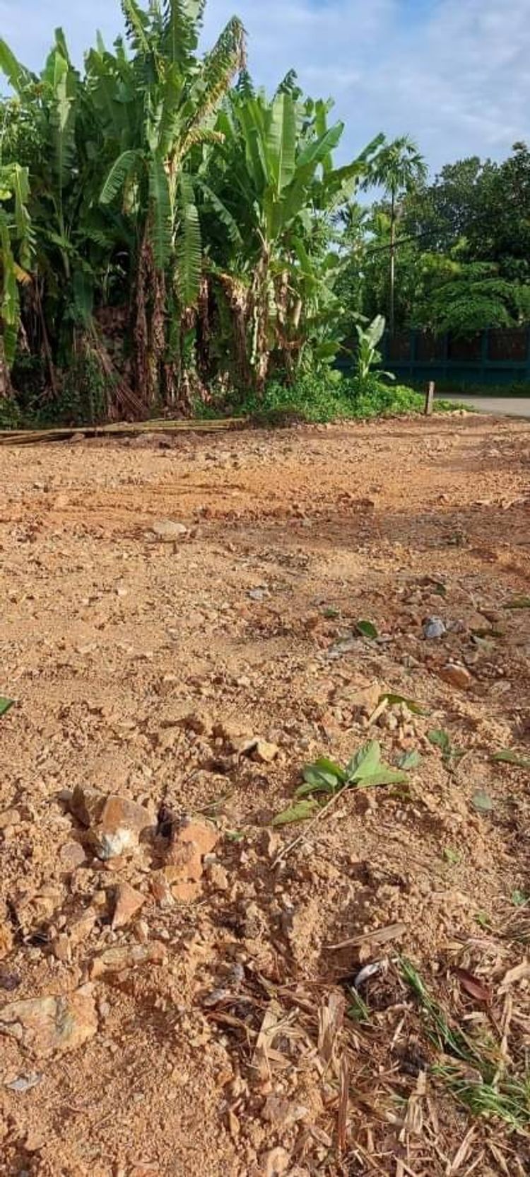 โซนสันทราย ขายที่ดิน 1.4 ล.เท่านั้น 89 ตรว. #สันทรายหลวง #ติดถนน 2 ด้าน, ภาพที่ 4