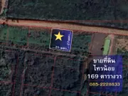 ขาย ที่ดินเปล่า ราษฎร์นิยม ไทรน้อย 169 ตารางวา เหมาะกับสร้างบ้าน