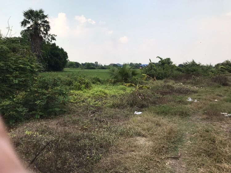 ขาย ที่ดินติดถนนเลียบคลองสี่ ตำบลคลองสี่ อำเภอคลองหลวง จังหวัดปทุมธานี, ภาพที่ 4