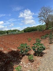 ขายที่ดิน เจ้าของขายเอง อยู่ในแหล่งท่องเที่ยวติดอันดับของ  นครราชสีมา 