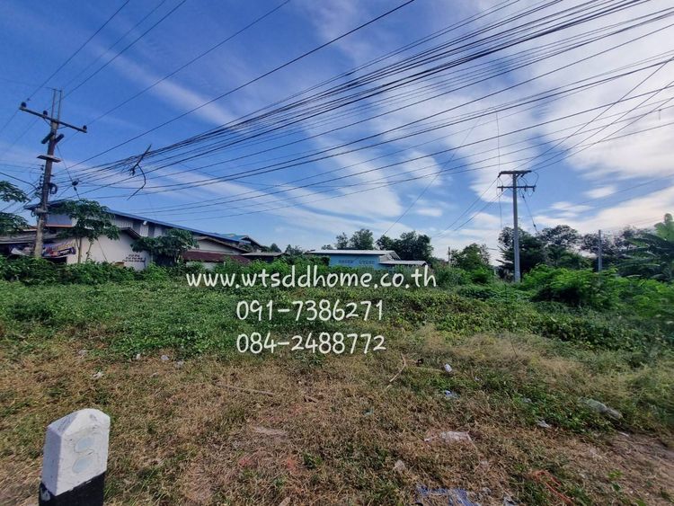 ขาย ที่ดิน ตำบลบ้านหอย อำเภอประจันตคาม จังหวัดปราจีนบุรี, ภาพที่ 4