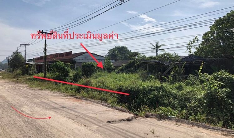 ขายบ้านเดี่ยวใกล้ ตลาดนัดหน้าวัด อำเภอพนม จังหวัดสุราษฎร์ธานี, ภาพที่ 4