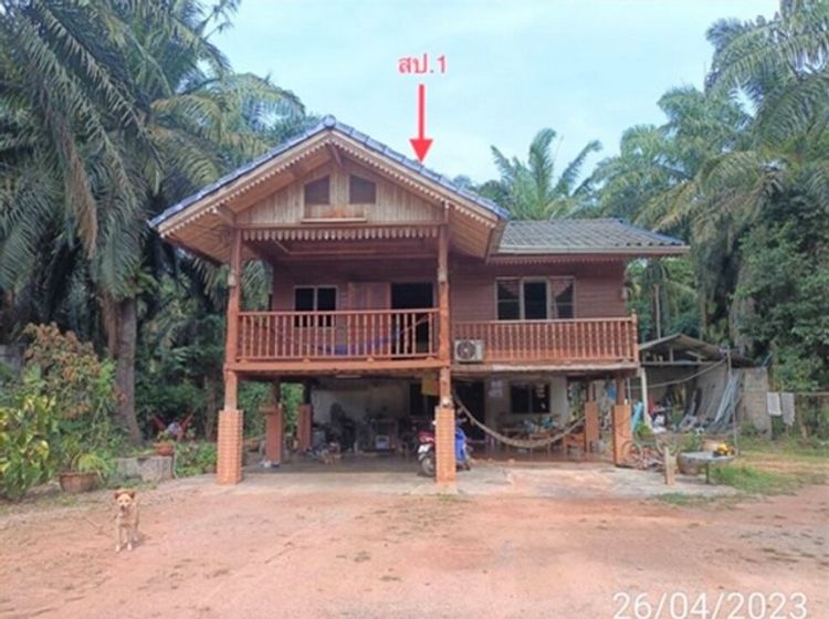 ขายบ้านเดี่ยวใกล้ โรงพยาบาลท่าโรงช้าง อำเภอพุนพิน จังหวัดสุราษฎร์ธานี, ภาพที่ 4
