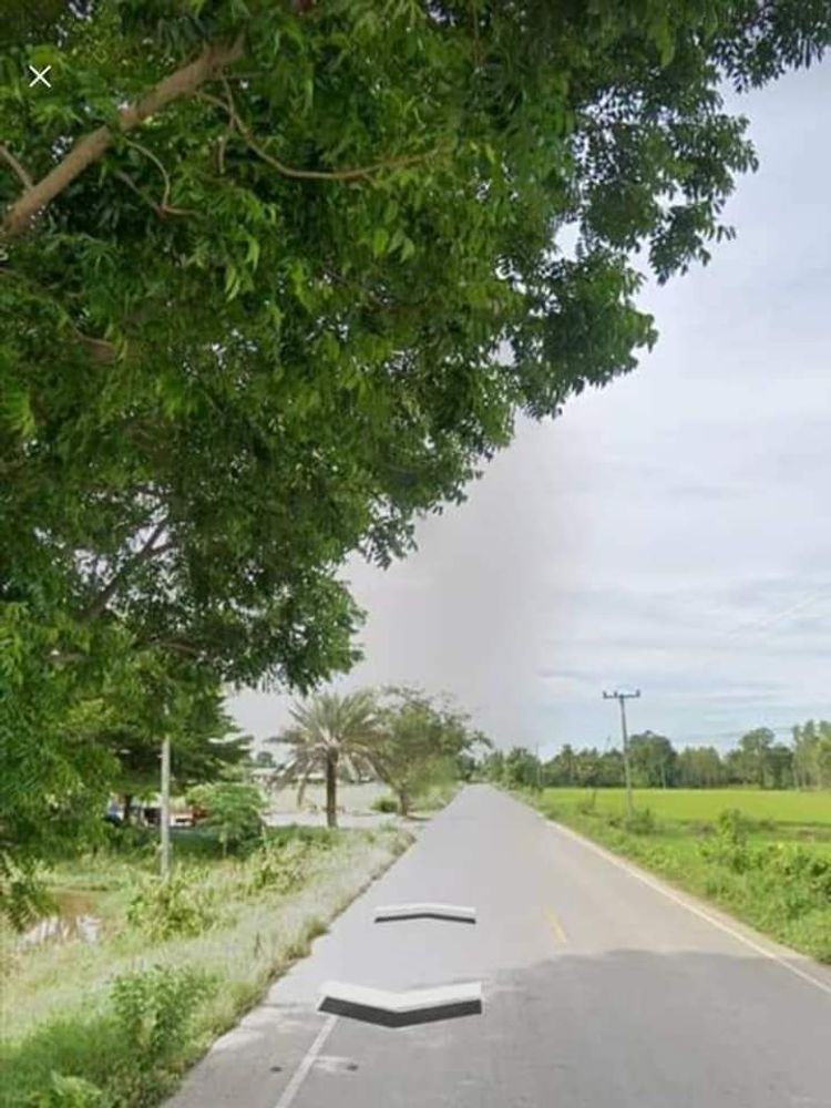 ขาย ที่ดิน ตำบลพันเสา อำเภอบางระกำ จังหวัดพิษณุโลก, ภาพที่ 4