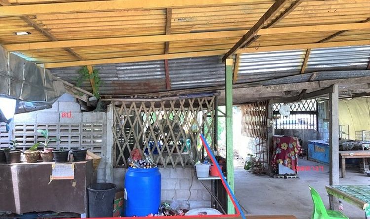ขายบ้านเดี่ยวใกล้ โรงพยาบาลบางสะพาน อ.บางสะพาน จ.ประจวบคีรีขันธ์, ภาพที่ 4