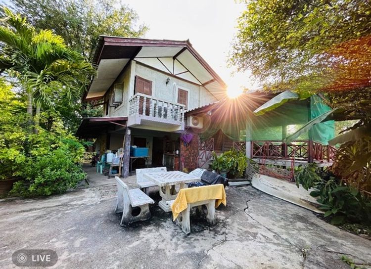  ขายที่ดินพร้อมบ้านสวน ห้อง เนื้อที่ 1ไร่ 13 ตร.ว. [M25662] อ.ชัยบาดาล , ภาพที่ 4