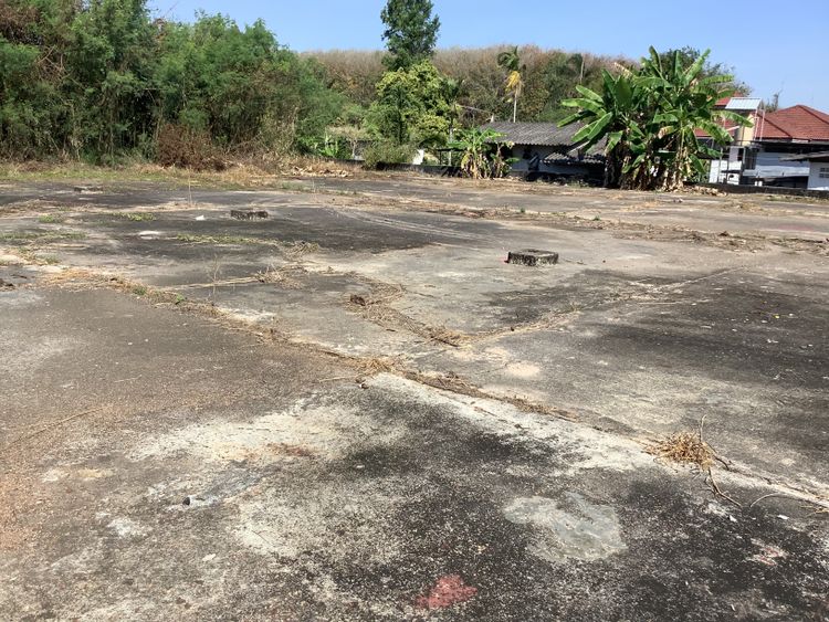 ขายที่ดินเขตEEC ตรงข้ามนิคมWHA  ตำบลหนองละลอก อำเภอบ้านค่าย, ภาพที่ 4