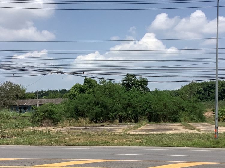 ขาย ที่ดินติดถนนเขตEEC ตรงข้ามWHA ตำบลหนองละลอก อำเภอบ้านค่าย, ภาพที่ 4