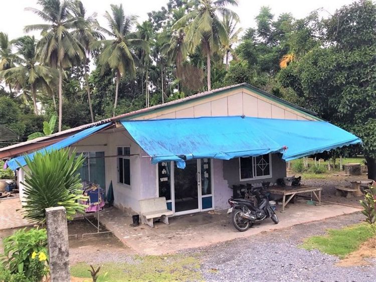 ขายบ้านเดี่ยว   อำเภอลานสกา นครศรีธรรมราช (PKK02-14651), ภาพที่ 4