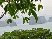 ขายที่ดิน เป็นทีชีวิวเห็นทะเลเเละเกาะต่างหลายเกาะ เป็น น.ส.3 ธรรมดา 9ไร่ 