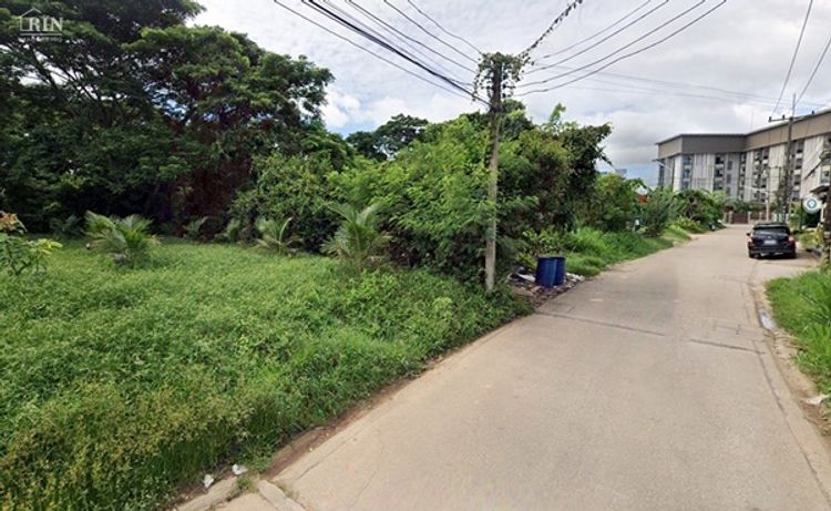 ขาย ที่ดิน ตำบลท่าตะเภา อำเภอเมืองชุมพร จังหวัดชุมพร, ภาพที่ 4