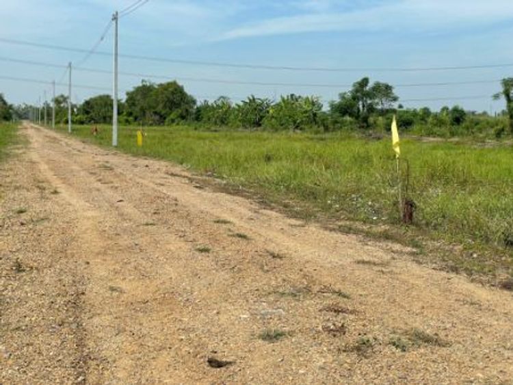 ขาย ที่ดิน 
~ TP - POM 0090
~ คลอง 10 บึงบา หนองเสือ ปทุมธานั 100, ภาพที่ 4