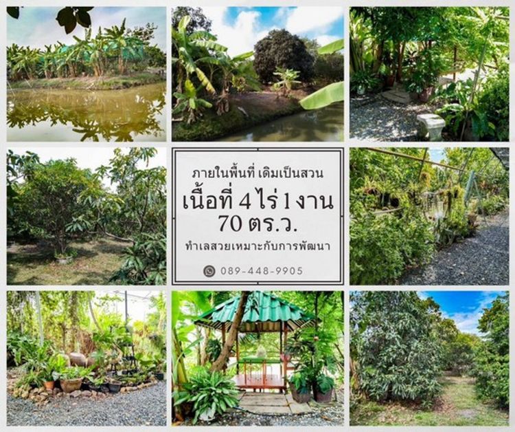 ขายที่ดินทำเลสวยใกล้กับหมู่บ้านอารีรมย์ รังสิต ขนาด 4ไร่ 1 งาน 70, ภาพที่ 4