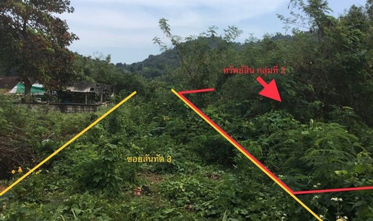 ขายที่ดินว่างเปล่าใกล้ โรงพยาบาลปากน้ำชุมพร อำเภอเมืองชุมพร PKK01-11563, ภาพที่ 4