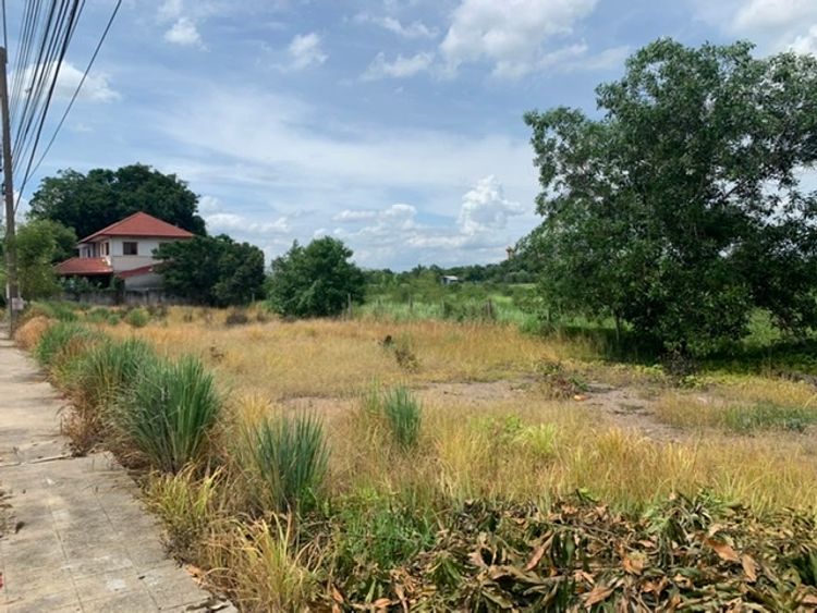 ขาย ที่ดิน ตำบลรังสิต อำเภอธัญบุรี จังหวัดปทุมธานี, ภาพที่ 4