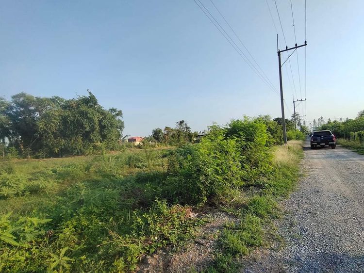ขาย ที่ดิน ตำบลระแหง อำเภอลาดหลุมแก้ว จังหวัดปทุมธานี, ภาพที่ 4