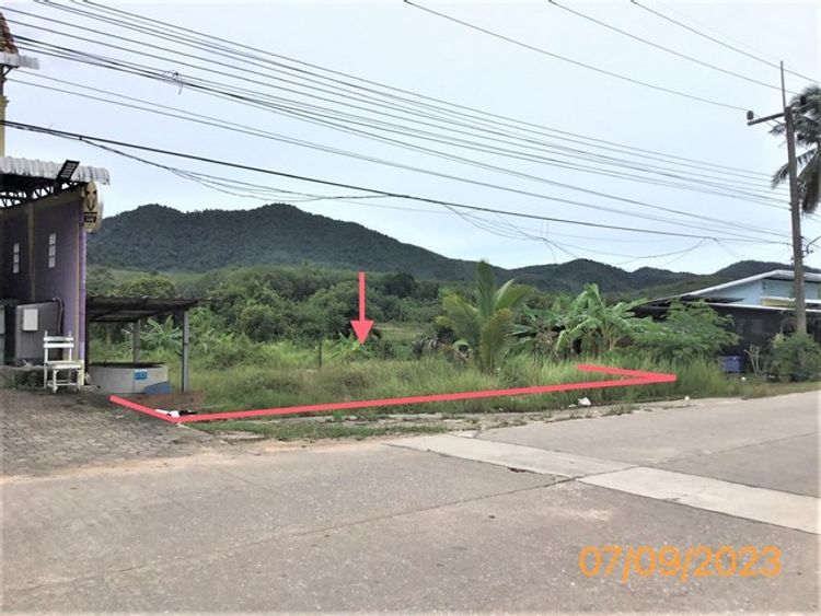 ขายที่ดินว่างเปล่าใกล้ ตลาดนัดชุมชน อำเภอเกาะยาว จังหวัดพังงา, ภาพที่ 4