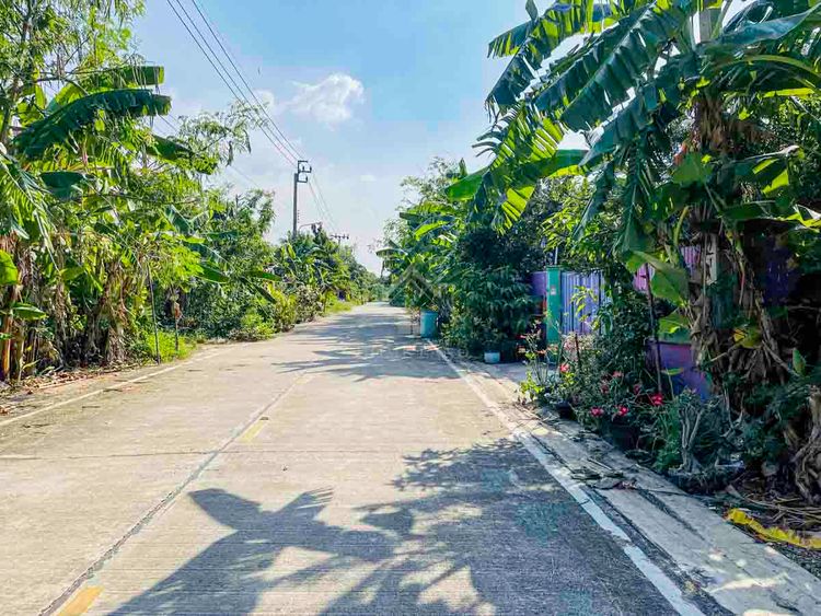 ที่ดิน ซอย นุ่มประสงค์ 2 ถมแล้ว ล้อมรั้วเรียบร้อย    , ภาพที่ 4