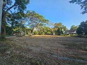 ขาย ที่ดิน ตำบลขนงพระ อำเภอปากช่อง จังหวัดนครราชสีมา