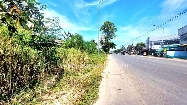 ที่ดินแปลงใหญ่ 129 ไร่ ติดถนนหลักเทศบาล 34 ทำเลดีมาก ใจกลางเมืองบ้านฉาง, ภาพที่ 4