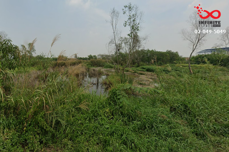 ขายที่ดินเปล่า 2 ไร่ ถนนพหลโยธิน ซอยไอยรา 37 อำเภอคลองหลวง ปทุมธานี, ภาพที่ 4