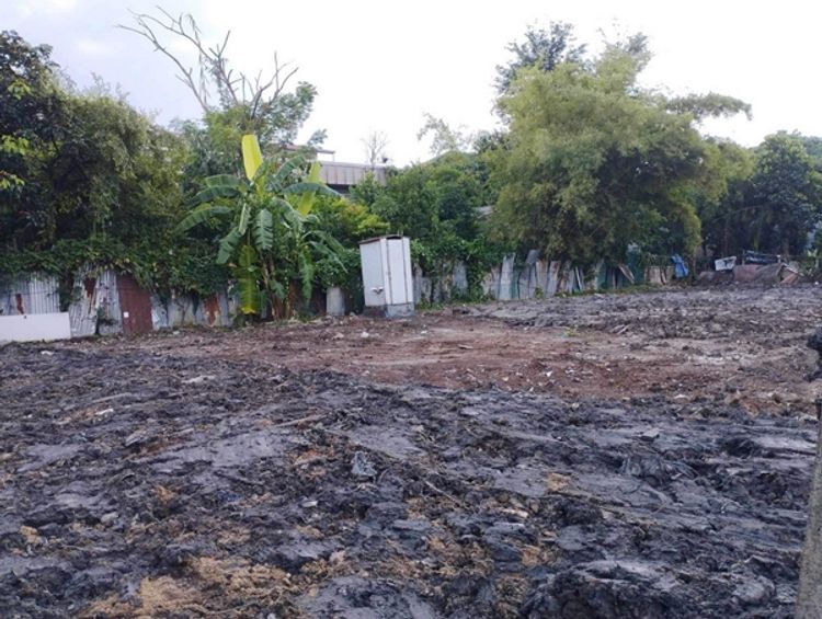ขายที่ดิน ซ.วชิรธรรมสาธิต 55 ถ.สุขุมวิท 101/1 พื้นที่ 199 ตรว., ภาพที่ 4